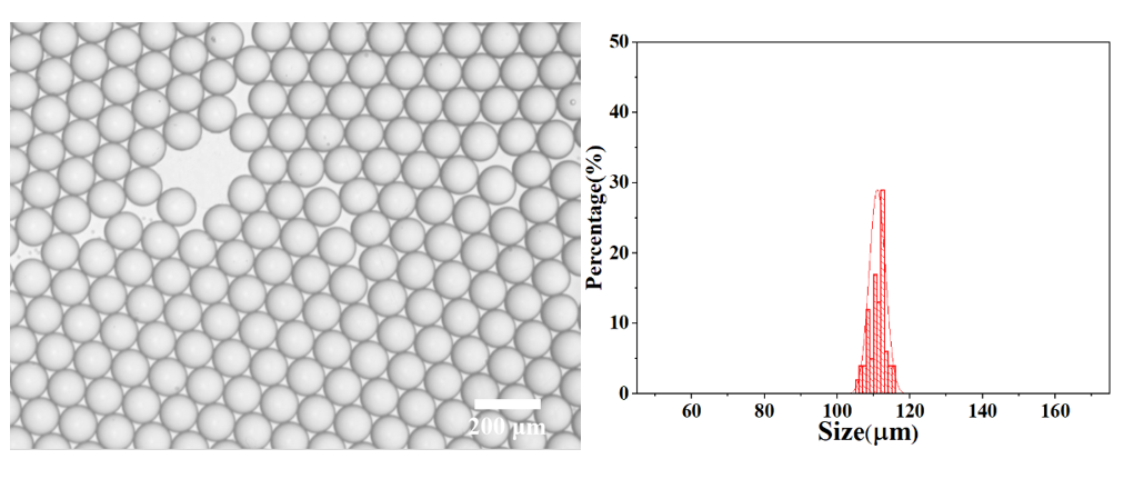 Alginate Hydrogel Microspheres