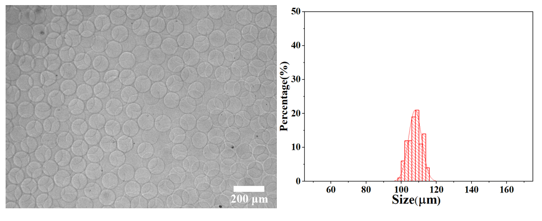 Alginate Hydrogel Microspheres