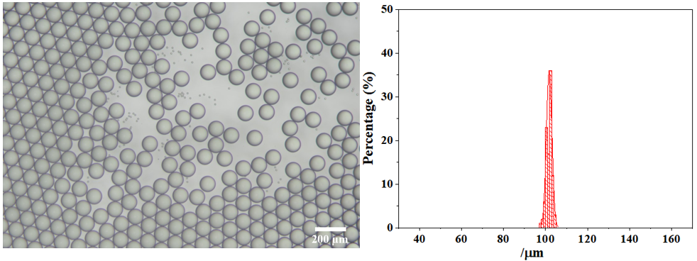 Preparation of alginate hydrogel microspheres with Microdroplets/Microsphere Generator (by ion-exchange cross-linking gelation)