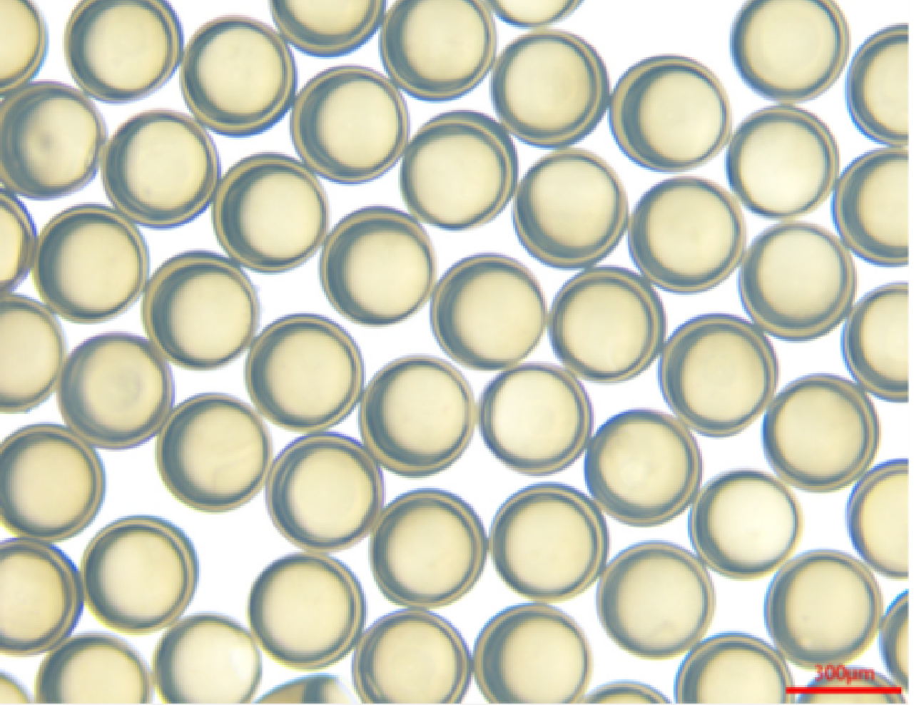 Product images of perfluorohexanone fire extinguishing microcapsules (In water)