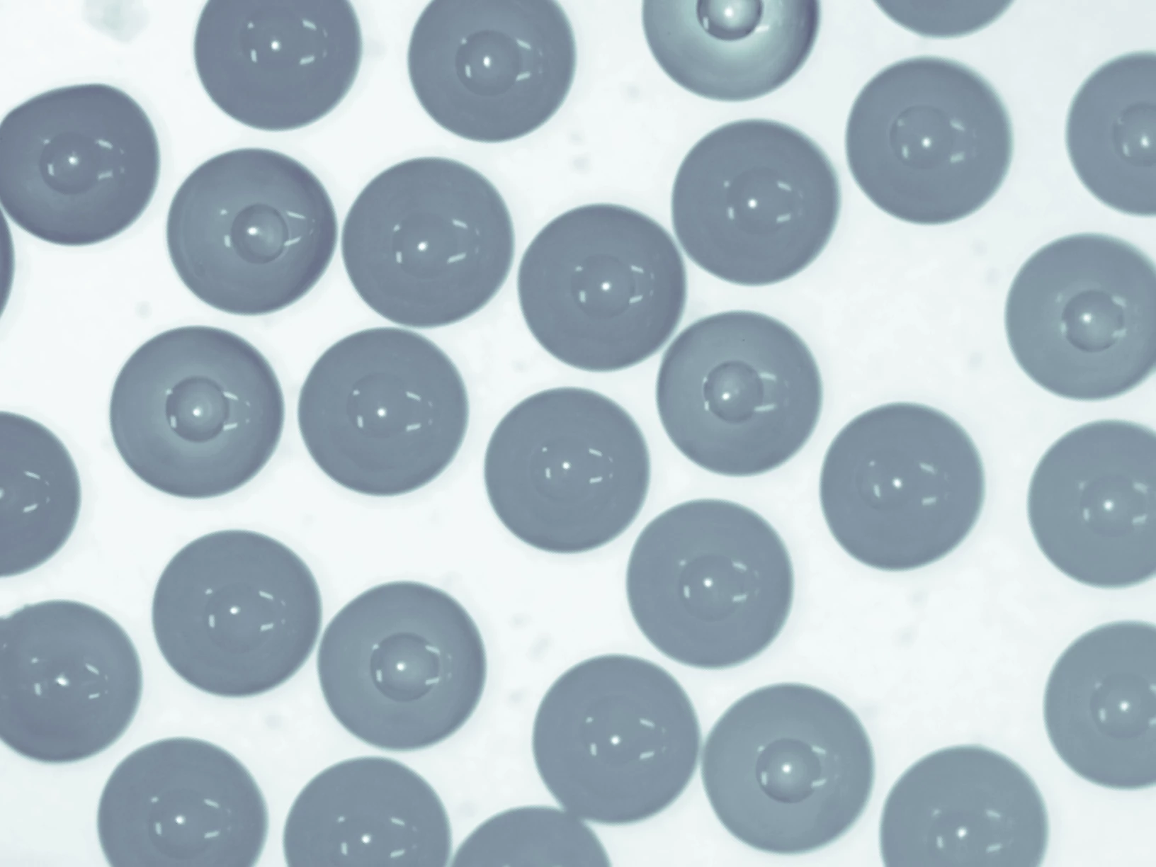 Pre-fire microscope image